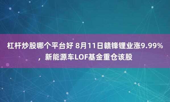 杠杆炒股哪个平台好 8月11日赣锋锂业涨9.99%，新能源车LOF基金重仓该股