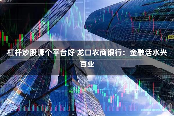杠杆炒股哪个平台好 龙口农商银行：金融活水兴百业
