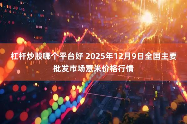 杠杆炒股哪个平台好 2025年12月9日全国主要批发市场薏米价格行情