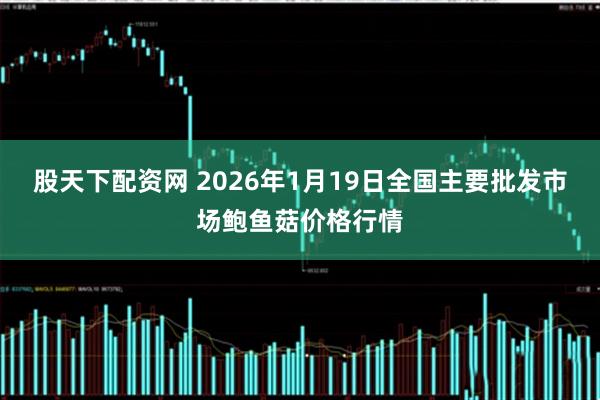 股天下配资网 2026年1月19日全国主要批发市场鲍鱼菇价格行情