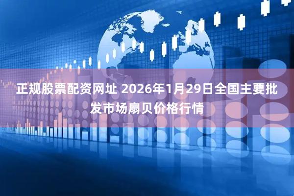 正规股票配资网址 2026年1月29日全国主要批发市场扇贝价格行情