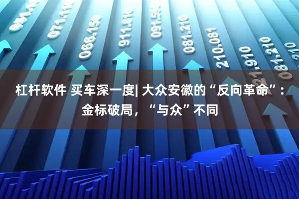 杠杆软件 买车深一度| 大众安徽的“反向革命”：金标破局，“与众”不同