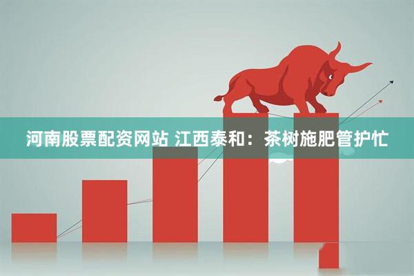 河南股票配资网站 江西泰和：茶树施肥管护忙